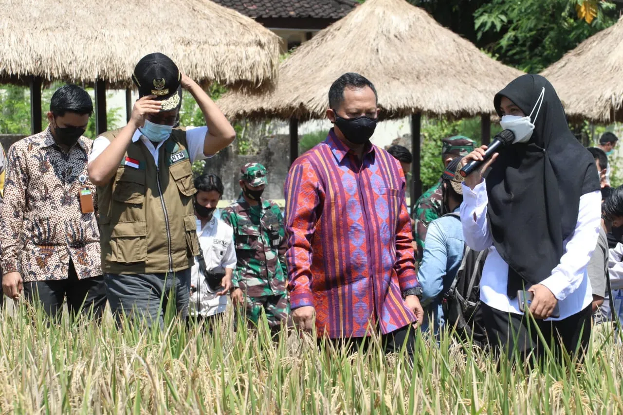 Mendagri, Kampung Sehat Bisa Jadi Penanganan Covid-19 dan Penerapan PPKM Mikro I PojokPublik