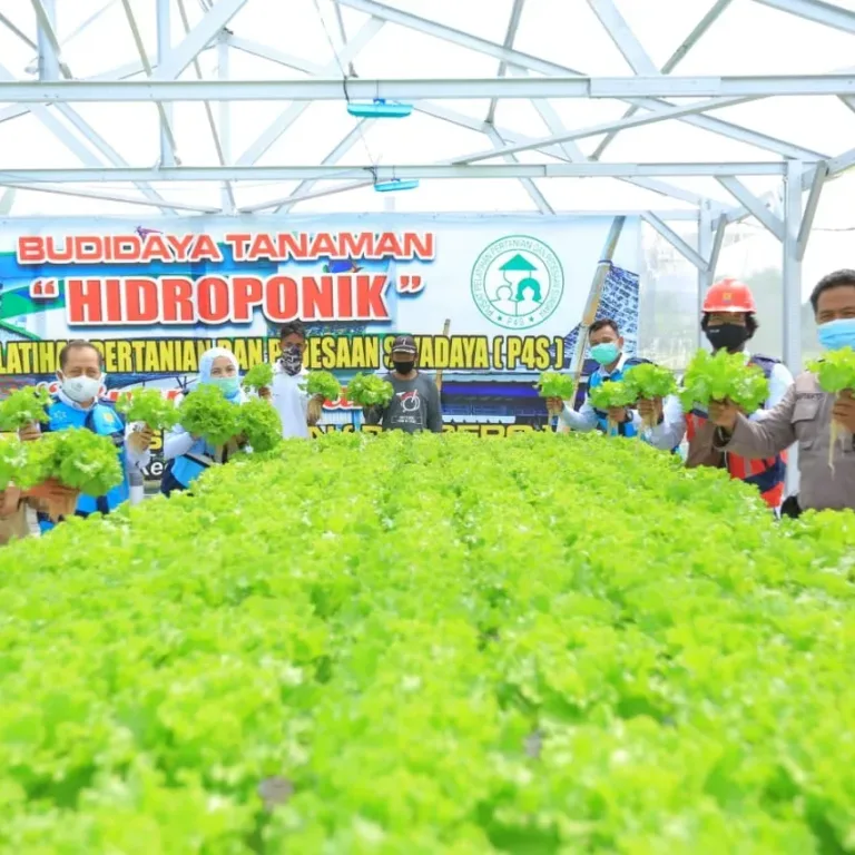 Ngerih, PLN Salurkan 4,8 Miliar di 54 Lokasi