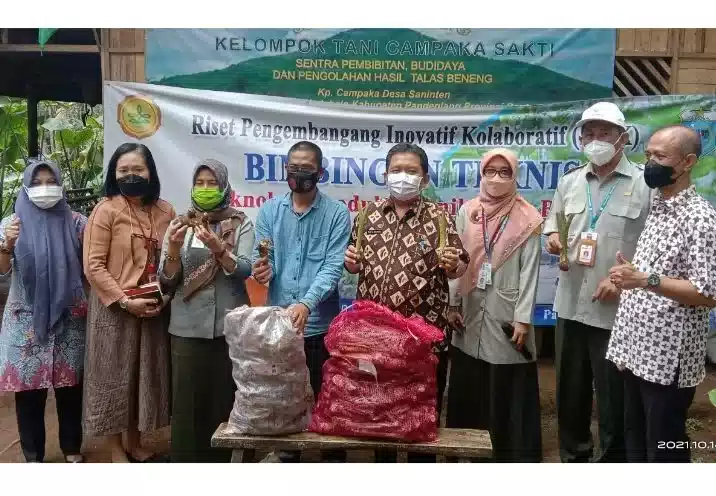 Distan Pandeglang Berikan Pelatihan Terhadap Kelompok Tani di Kaduhejo I PojokPublik