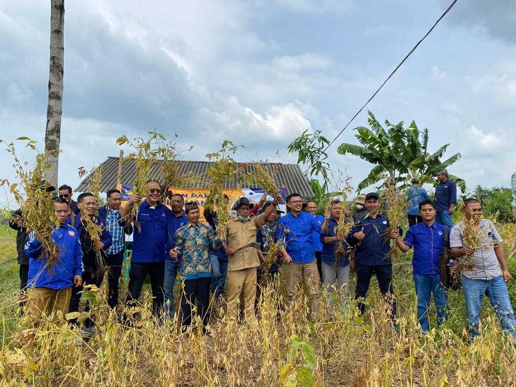 Nasib Kedelai di Negeri Luas dan Subur