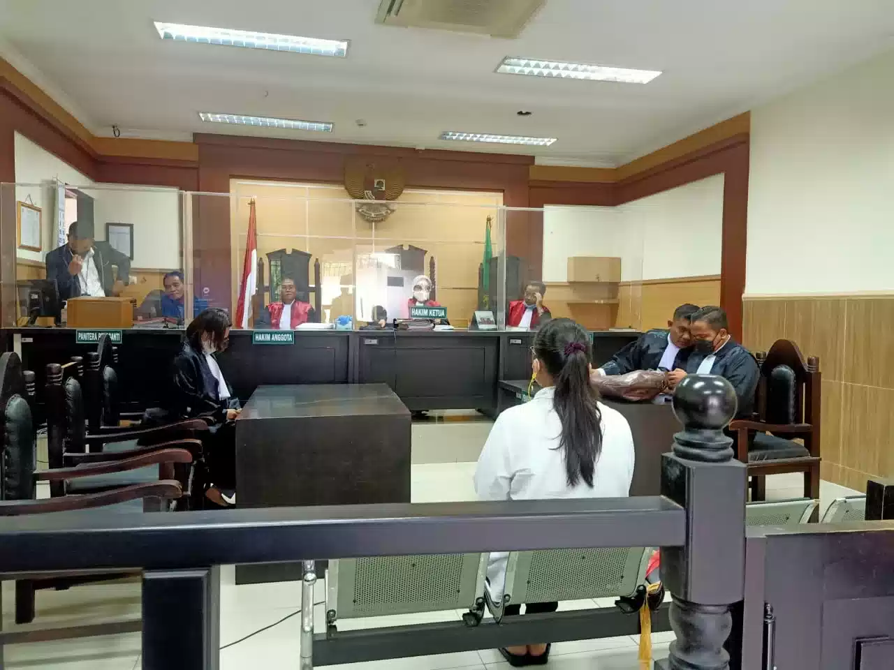 Sidang Dugaan Pembakaran Bengkel, Ahli Pidana UI Sebut Pasal 340 Harus Penuhi Unsur Perencanaan I PojokPublik