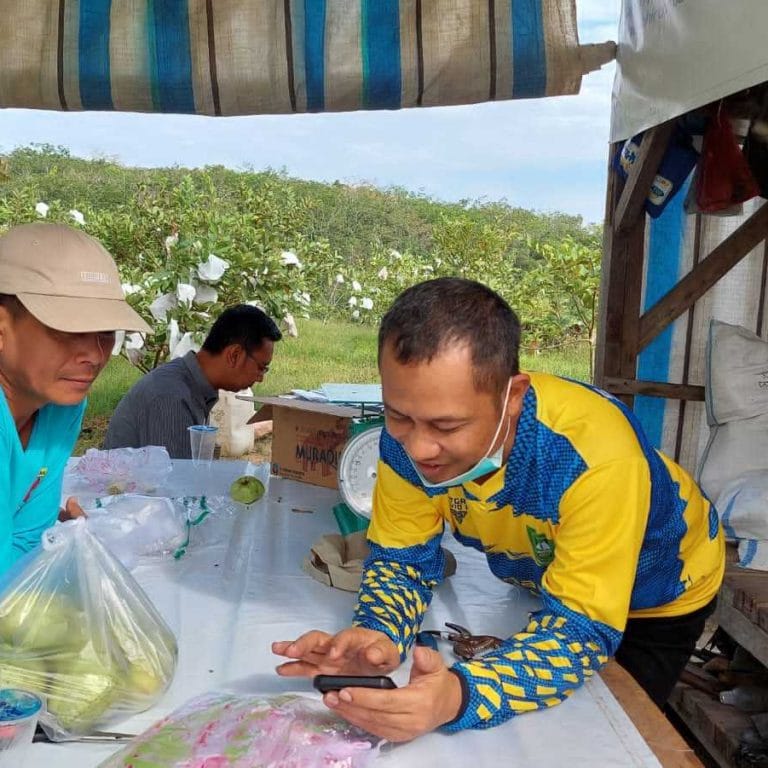 Kebun Sawit Produktif Milik FKDB di Sulap, Menjadi Kebun Buah 10 Kebun Sawit Produktif Milik FKDB di Sulap, Menjadi Kebun Buah