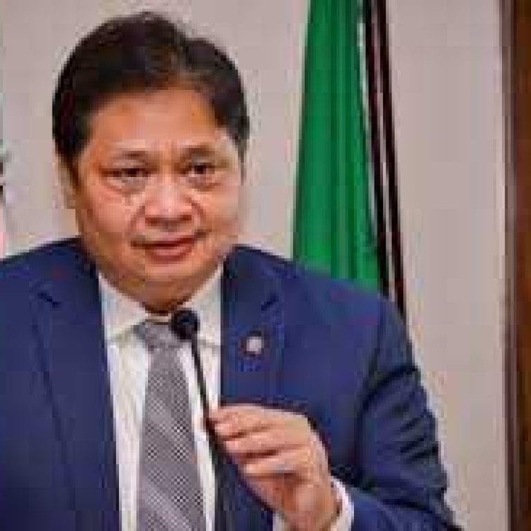 Survei di Gen Z & Y Inginkan Airlangga jadi Presiden