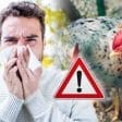 Dinkes Tingkatkan Kewaspadaan Wabah Flu Burung I PojokPublik
