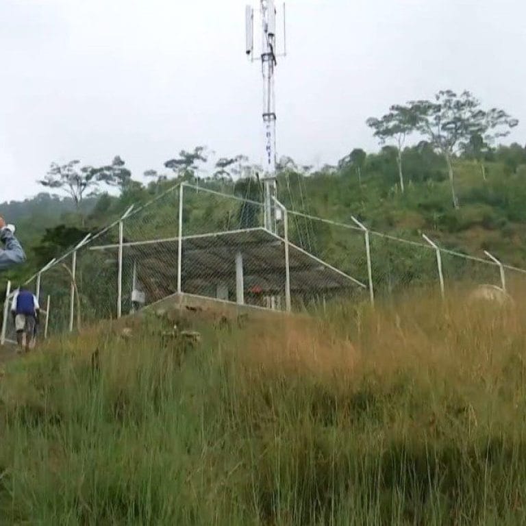 Pekerja Keras dengan Integritas Tinggi: Kesaksian Rohadi, Direktur PT Bintang Komunikasi Utama, dalam Kasus Proyek BTS 4G