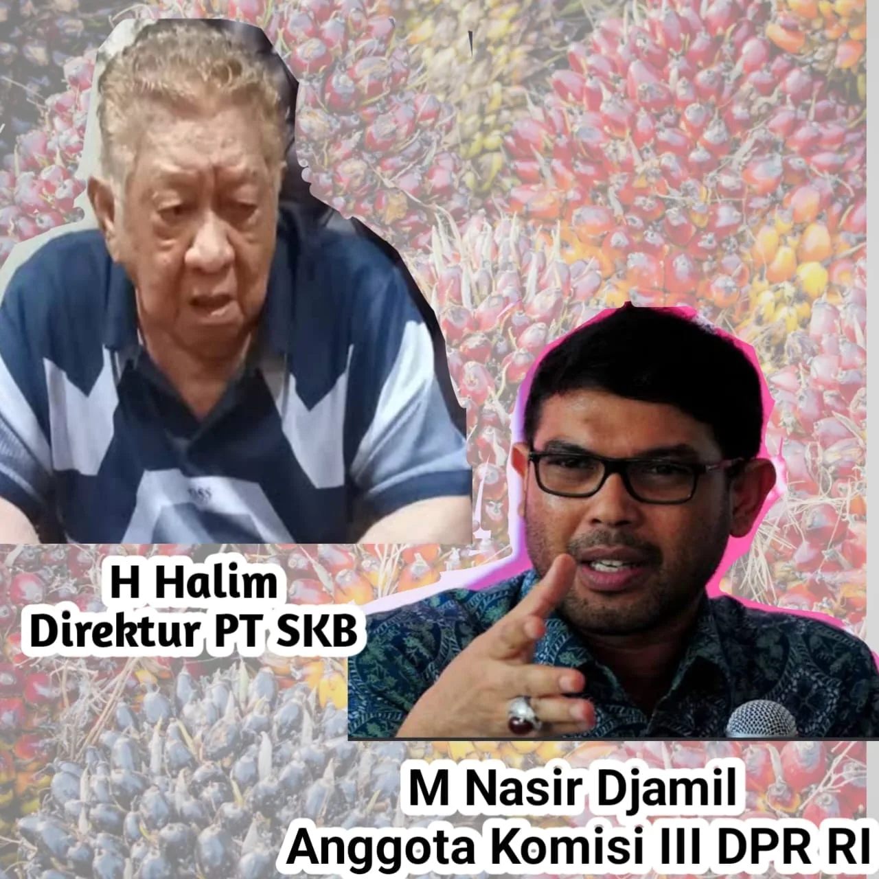 Ketua IPW, Sugeng Teguh Santoso, SH: Jangan-Jangan Ada Anggota Dewan yang Diperalat Pengusaha Perkebunan Sawit I PojokPublik