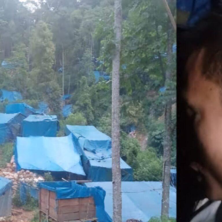 Terkait Kasus Penganiayaan Oleh Bos PETI di Bukit Siayo, Korban Bakal Kirim Surat Ke Presiden