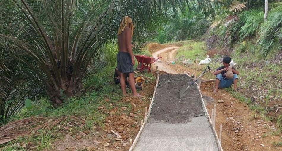 Miris, Proyek Jalan di Tapian Nauli Diduga Asal jadi terkesan Rakus dalam Cari Keuntungan I PojokPublik