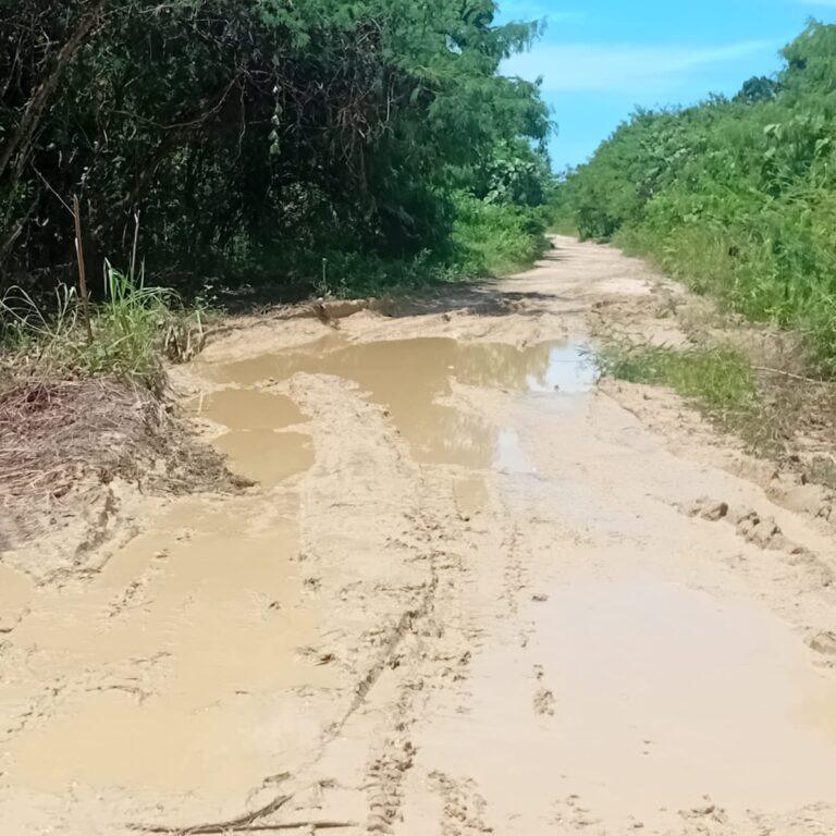 Kepala Kampung Kwoor Kecewa, Jalan di Sausapor di Biarkan Rusak Parah oleh Pemerintah