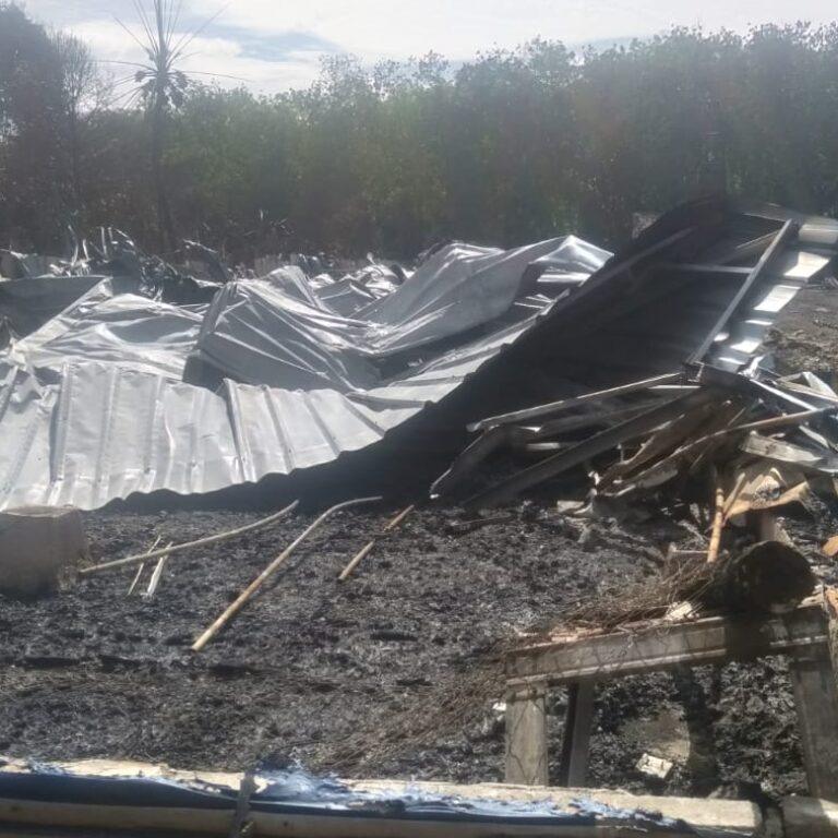 Si Jago Merah Musnahkan Kandang Ayam Di Lebak, Saksi Ungkap Dugaan Penyebab Kebakaran 9 Si Jago Merah Musnahkan Kandang Ayam Di Lebak, Saksi Ungkap Dugaan Penyebab Kebakaran I PojokPublik