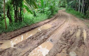 Masyarakat Cilograng Berharap Gubernur Banten Perhatikan Infrastruktur Jalan Poros Desa 3 Masyarakat Cilograng Berharap Gubernur Banten Perhatikan Infrastruktur Jalan Poros Desa I PojokPublik