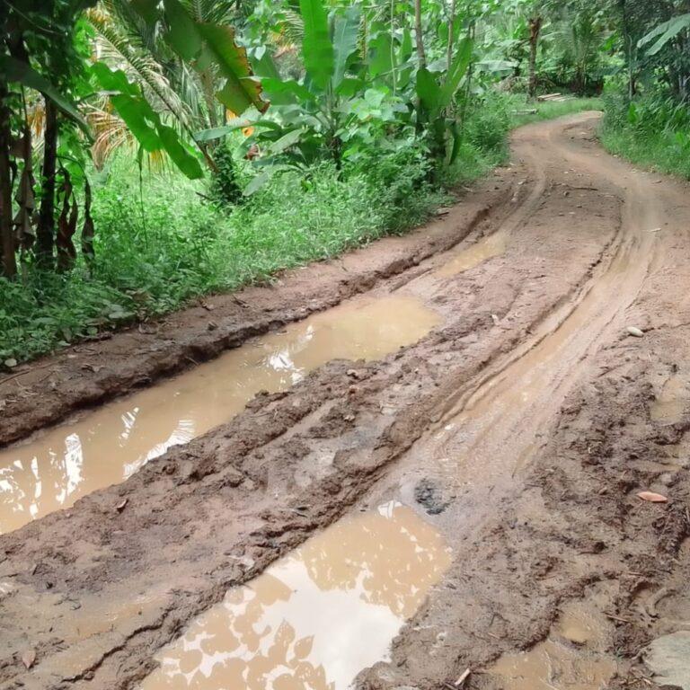 Masyarakat Cilograng Berharap Gubernur Banten Perhatikan Infrastruktur Jalan Poros Desa 9 Masyarakat Cilograng Berharap Gubernur Banten Perhatikan Infrastruktur Jalan Poros Desa I PojokPublik