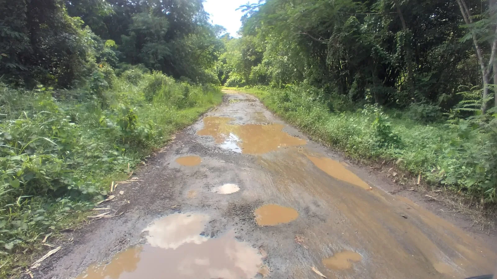 Akses Jalan Hancur, Warga Di Kabupaten Lebak Tagih Janji Bupati 1 Akses Jalan Hancur, Warga Di Kabupaten Lebak Tagih Janji Bupati I PojokPublik