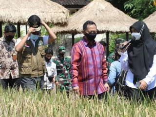 Mendagri, Kampung Sehat Bisa Jadi Penanganan Covid-19 dan Penerapan PPKM Mikro