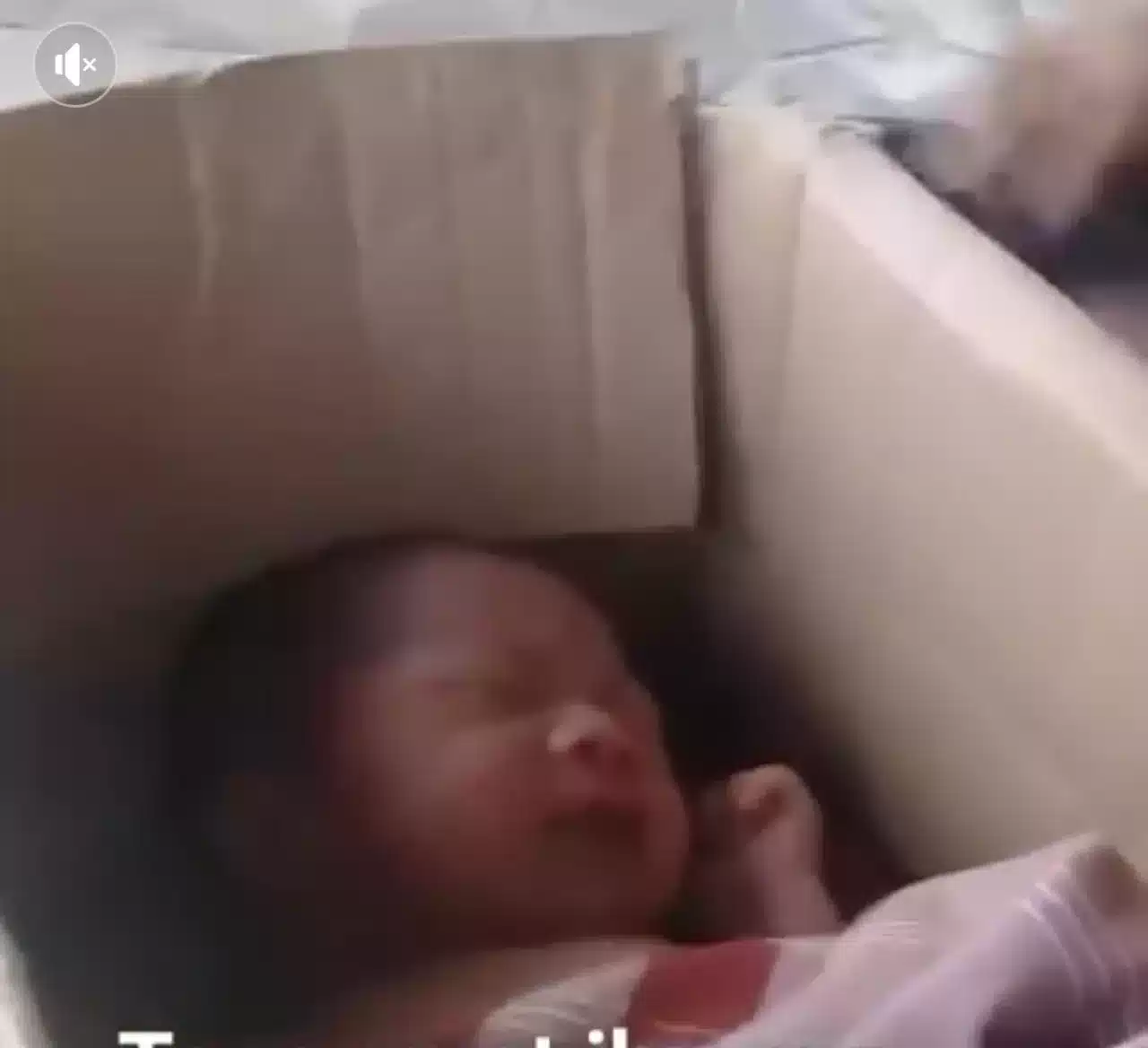 Bayi Laki-laki Dalam Kardus Ditemukan di Warunggunung 7 Bayi Laki-laki Dalam Kardus Ditemukan di Warunggunung I PojokPublik