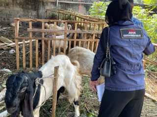 Relawan KITA Salurkan Daging Qurban untuk Warga Terdampak Covid