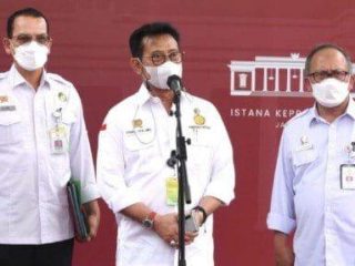 Presiden Minta Mentan Tingkatkan Produktivitas Jagung Nasional