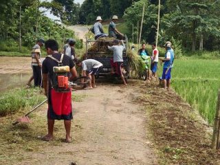 Puluhan Warga Bojongcae Lebak Banten, Kompak Bersihkan Lingkungan