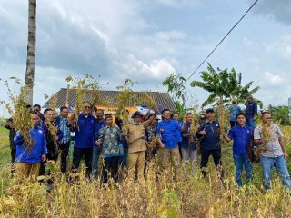Nasib Kedelai di Negeri Luas dan Subur