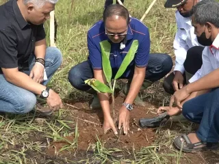 Provinsi Lampung Gelar Penanaman Perdana Pisang Cavendish Di Sukabumi