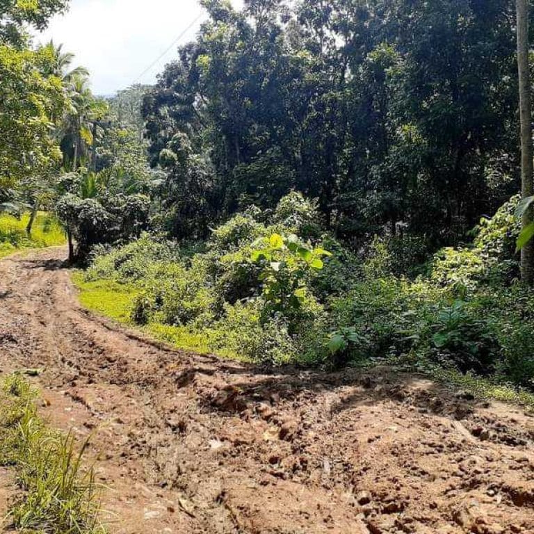 KACAU…!Jalan Pasien yang Ditandu di Pandeglang
