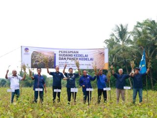 Realisasi Gagasan Progam 1 Juta Hektar, Ayep Zaki Lakukan Peresmian Gudang Kedelai dan Panen Kedelai