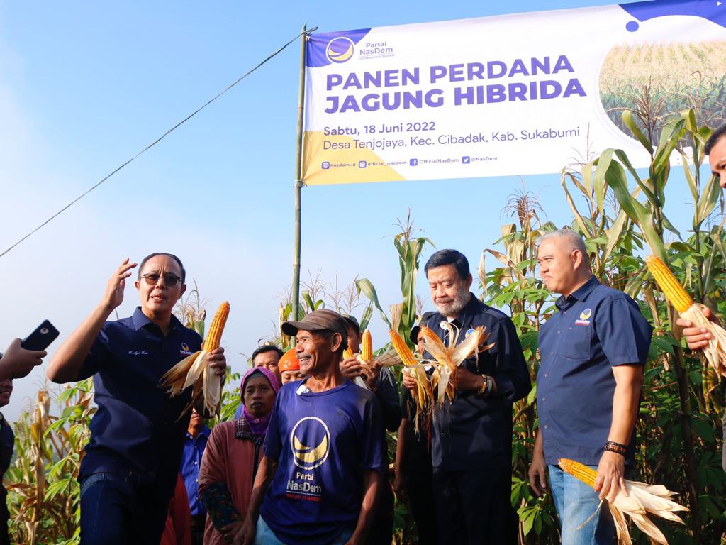 Buktikan Komitmen Di Sektor Pertanian, Ayep Zaki Gelar Panen Perdana Jagung Hibrida 3 Buktikan Komitmen Di Sektor Pertanian, Ayep Zaki Gelar Panen Perdana Jagung Hibrida I PojokPublik