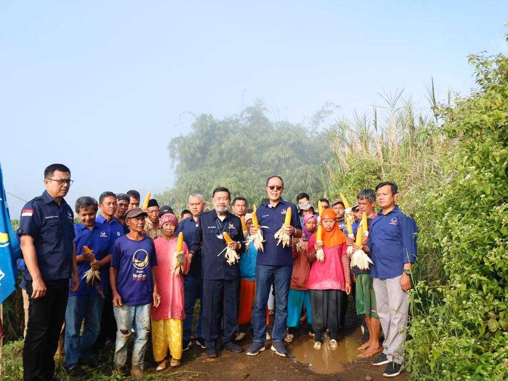 Buktikan Komitmen Di Sektor Pertanian, Ayep Zaki Gelar Panen Perdana Jagung Hibrida 2 Buktikan Komitmen Di Sektor Pertanian, Ayep Zaki Gelar Panen Perdana Jagung Hibrida I PojokPublik