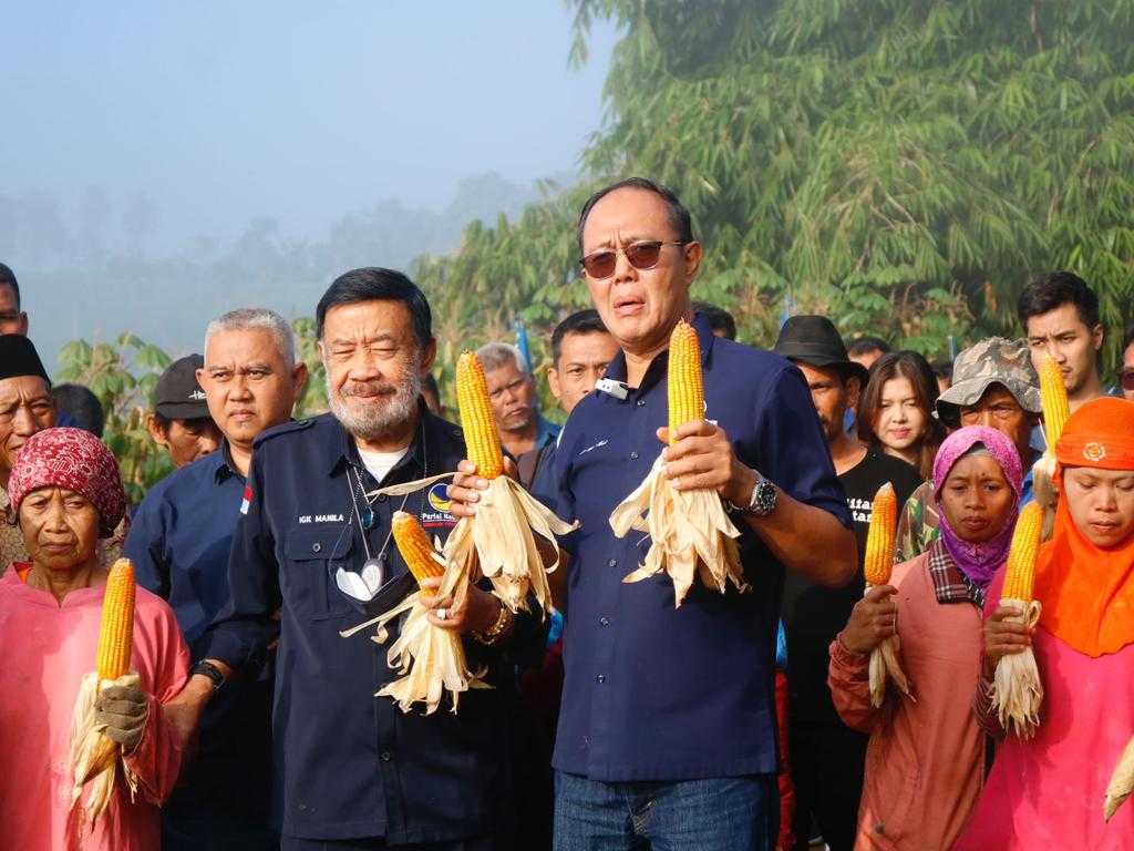 Buktikan Komitmen Di Sektor Pertanian, Ayep Zaki Gelar Panen Perdana Jagung Hibrida 13 Buktikan Komitmen Di Sektor Pertanian, Ayep Zaki Gelar Panen Perdana Jagung Hibrida I PojokPublik