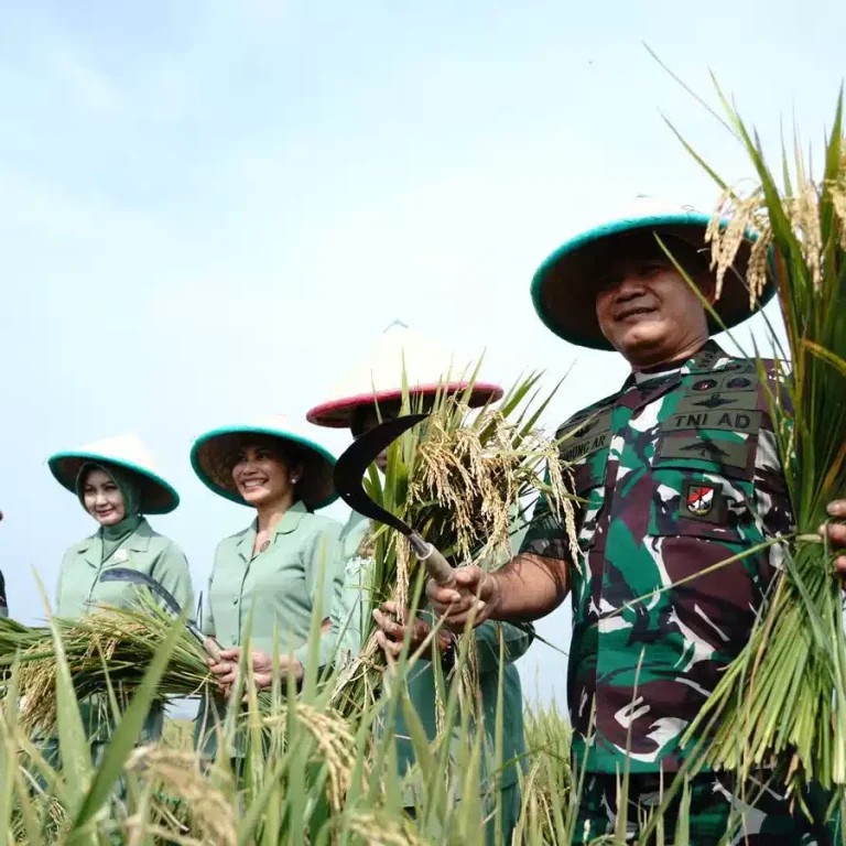 Antisipasi Krisis Pangan, Kasad Perintahkan Manfaatkan Lahan Tidur