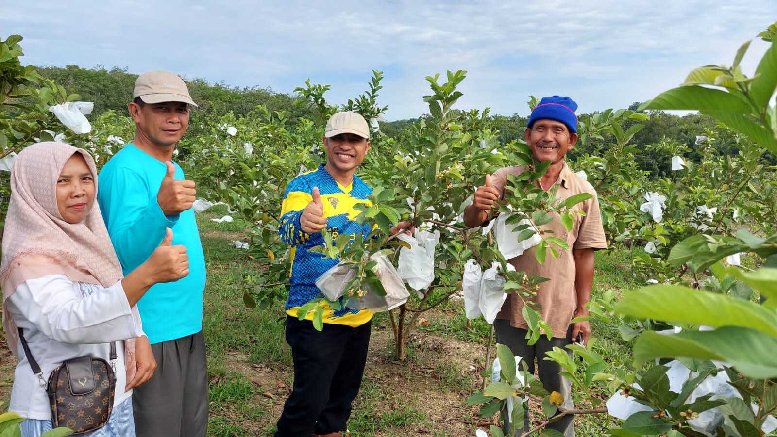 Kebun Sawit Produktif Milik FKDB di Sulap, Menjadi Kebun Buah 2 Kebun Sawit Produktif Milik FKDB di Sulap, Menjadi Kebun Buah I PojokPublik