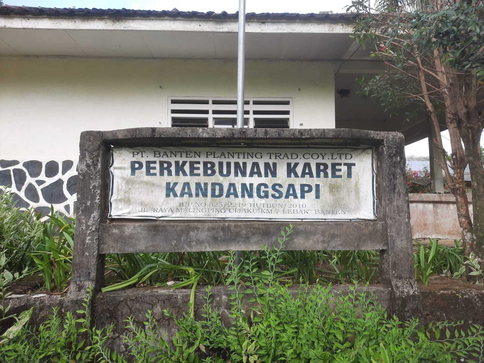 PARAH...!PT Banten Planting Trad Diduga Tabrak Aturan Ketenagakerjaan 7 PARAH...!PT Banten Planting Trad Diduga Tabrak Aturan Ketenagakerjaan I PojokPublik