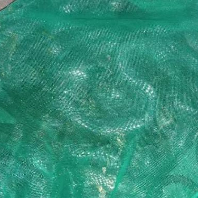 NGERI…!Anies ke Banten, Rumah Wahidin Dilempari Ular