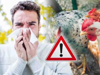 Dinkes Tingkatkan Kewaspadaan Wabah Flu Burung