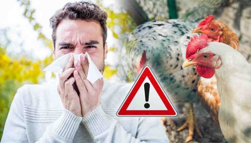 Dinkes Tingkatkan Kewaspadaan Wabah Flu Burung 7 Dinkes Tingkatkan Kewaspadaan Wabah Flu Burung I PojokPublik