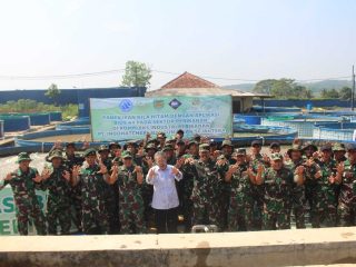 Panen Ikan Nila Hitam Dengan Aplikasi Bios 44 Di Komplek Industri Perikanan PT. Indohatchery Bangun Insan Sejahtera (PT.IBIS)