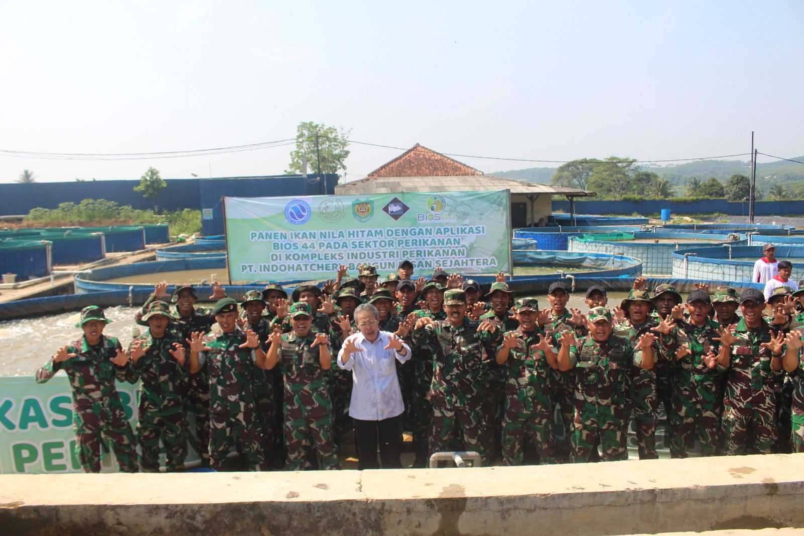 Panen Ikan Nila Hitam Dengan Aplikasi Bios 44 Di Komplek Industri Perikanan PT. Indohatchery Bangun Insan Sejahtera (PT.IBIS) 7 Panen Ikan Nila Hitam Dengan Aplikasi Bios 44 Di Komplek Industri Perikanan PT. Indohatchery Bangun Insan Sejahtera (PT.IBIS) I PojokPublik