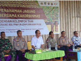 Polri Bersama FKDB Gelar Penanaman dan Panen Jagung di Distrik Arso, Kab. Keerom