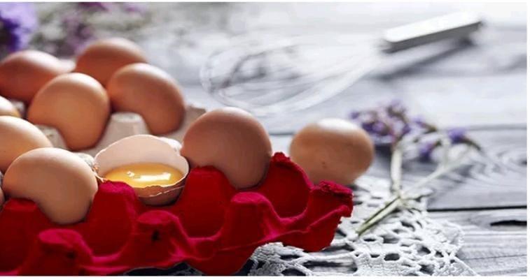 Bahaya Telur, Yuk Kenali Perbedaan dengan yang Asli 7 Bahaya Telur, Yuk Kenali Perbedaan dengan yang Asli I PojokPublik