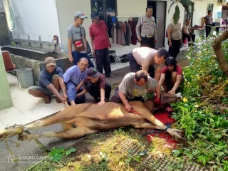 Kapolsek Senen Berbagi Daging Qurban