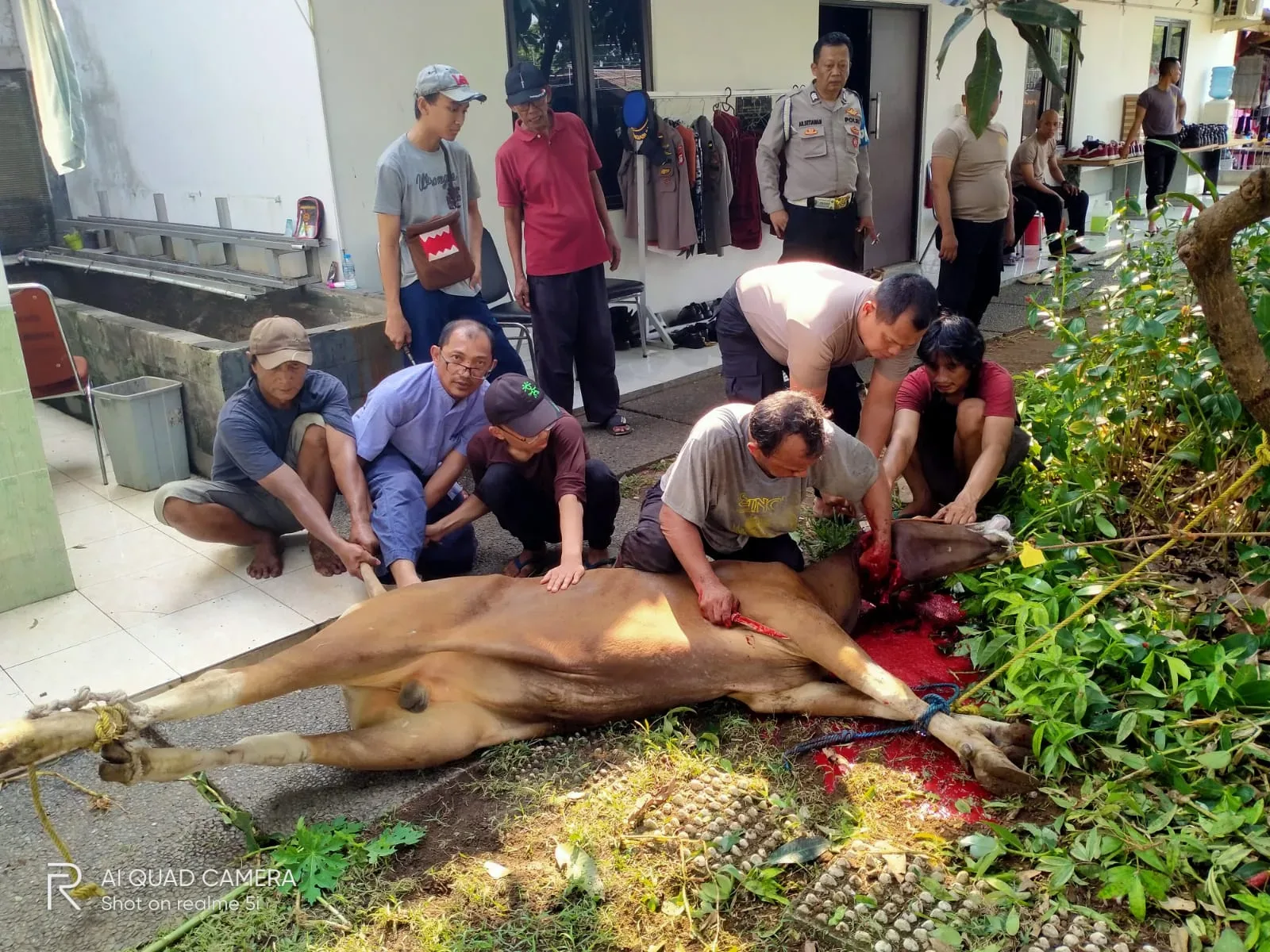 Kapolsek Senen Berbagi Daging Qurban 1 Kapolsek Senen Berbagi Daging Qurban