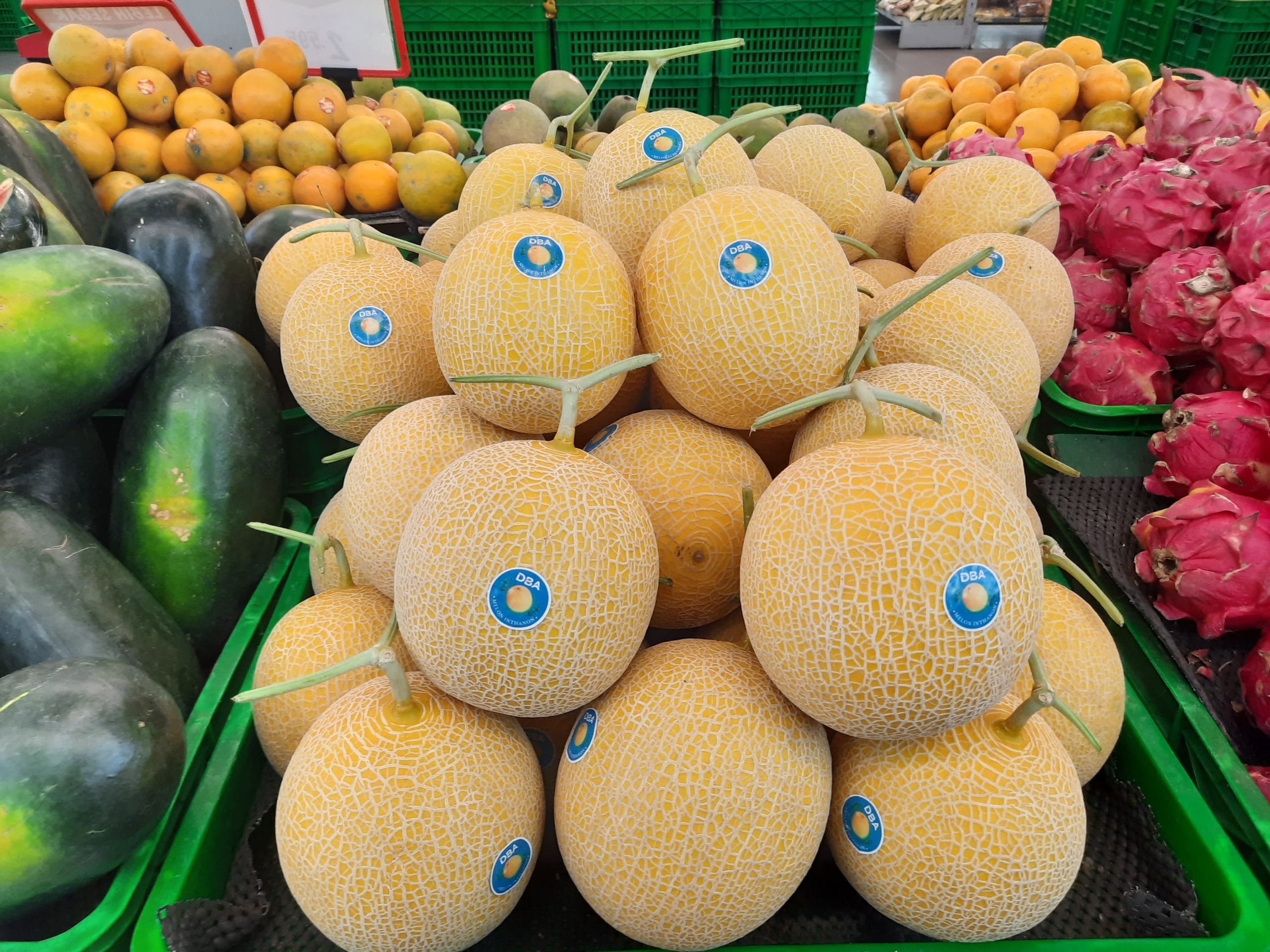 Melon Premium Milik Doa Bangsa Agrobisnis Mengembangkan Pasar Supermarket Cek Selengkapnya 7 Melon Premium Milik Doa Bangsa Agrobisnis Mengembangkan Pasar Supermarket Cek Selengkapnya I PojokPublik