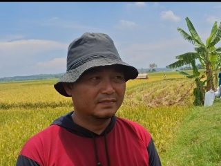 Petani Lebak dan Pandeglang Ucapkan Terimakasih Presiden Prabowo