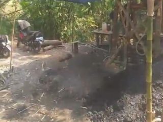 Aktivis Geram, Perhutani Cibobos Diduga di Obrak-abrik Tambang Batubara Ilegal