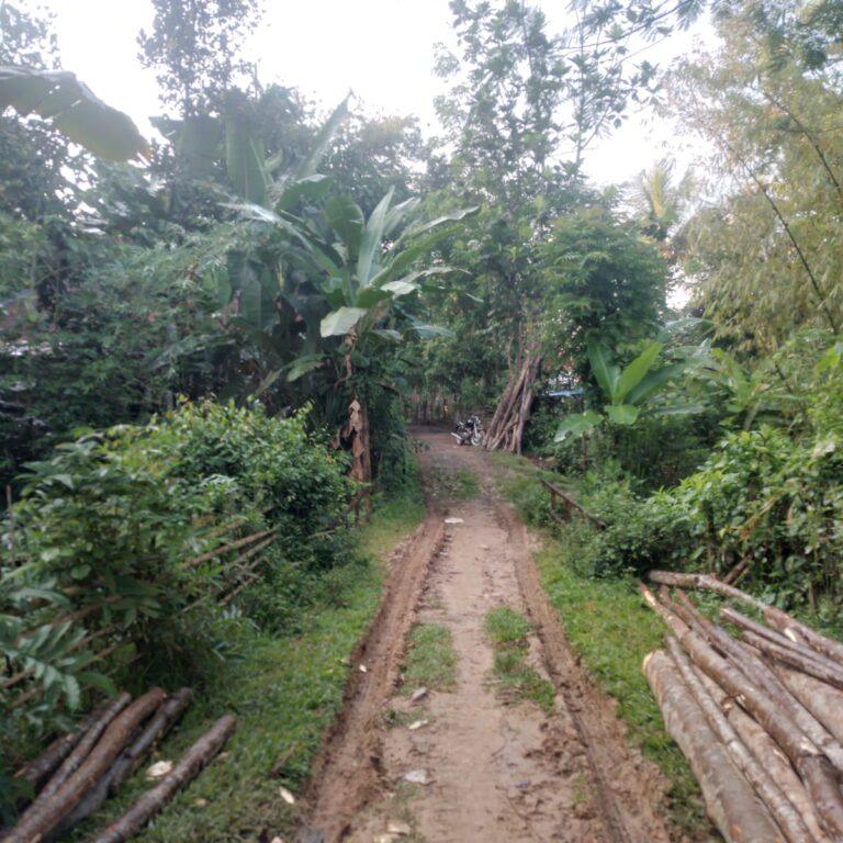 Jalan Cimarey dan Jembatan Margawangi Terbengkalai, Janji Manis Saat Nyalon Pahit Saat Berkuasa