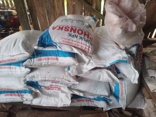 Gawat, Aktivis Desak Polda Banten Usut Dugaan Penjualan Pupuk Subsidi di Atas HET di Desa Sindaglaya