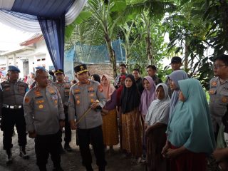Panen Raya Jagung Serentak, Polda Banten Gandeng Petani Jaga Stabilitas Pangan