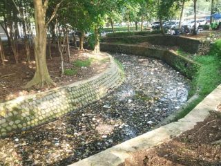 Sampah Menumpuk di Irigasi Dekat Kantor DLH Kabupaten Tangerang, BCW Sindir Keras Kepala Dinas
