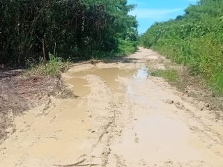 Kepala Kampung Kwoor Kecewa, Jalan di Sausapor di Biarkan Rusak Parah oleh Pemerintah