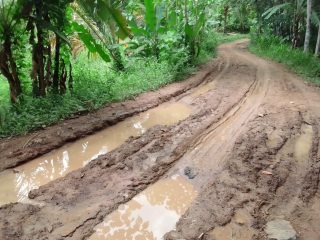 Masyarakat Cilograng Berharap Gubernur Banten Perhatikan Infrastruktur Jalan Poros Desa